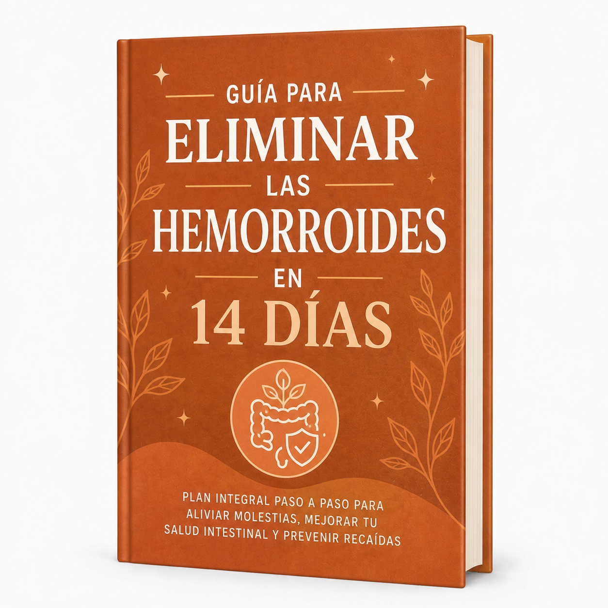 Guía para Eliminar las Hemorroides en 14 Días